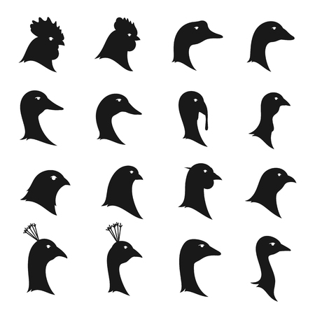 A Vector poultry icons isolated on white. Poultry icons collection for groceries, meat stores, agriculture markets and advertising.のイラスト素材