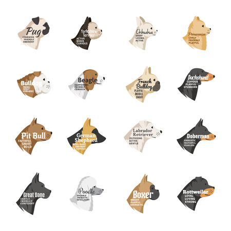 Dog breeds icons collection with names and personality description isolated on whiteのイラスト素材