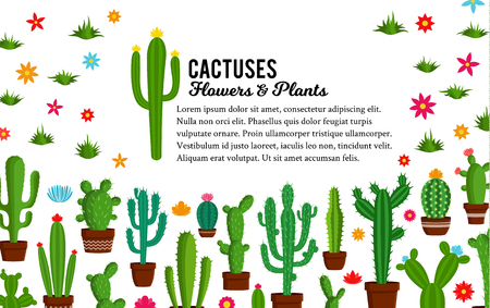 Vector home cactus illustration. Different types of cactus plants in flowerpots with flowers and grass icons.のイラスト素材