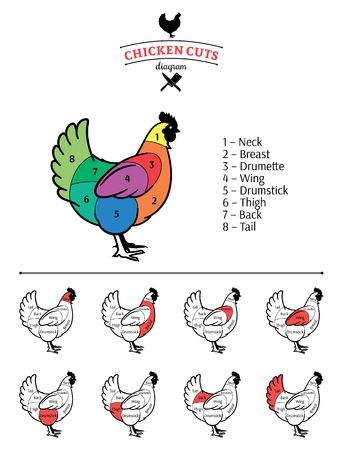 Chicken cuts diagram.のイラスト素材