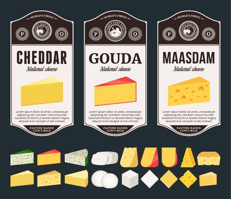 Vector cheese labels and packaging design templates. Different types of cheese detailed icons. Dairy products illustration for dairies, farms and groceries branding.のイラスト素材
