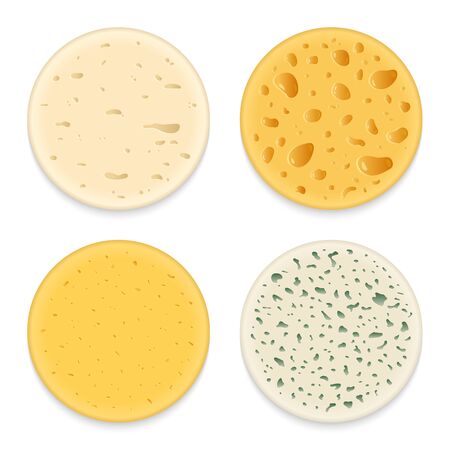 Set of vector different types of cheese realistic round patterns or texturesのイラスト素材