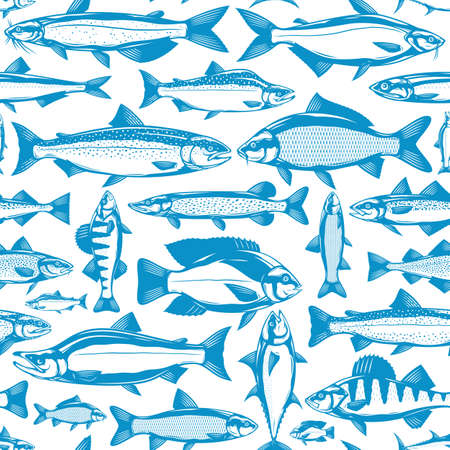 Vector fish seamless pattern or background. Fish illustration collectionのイラスト素材
