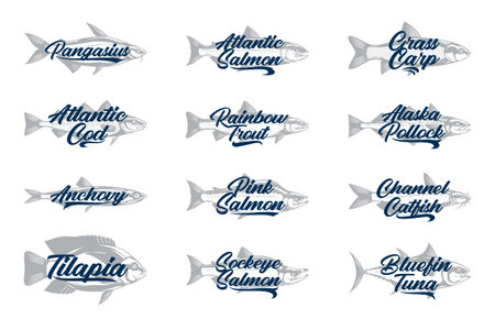 Set of vector fish label. Fish illustartion collectionのイラスト素材