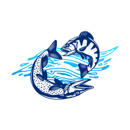 Vector jumping pike and perch fish illustration with water splashのイラスト素材