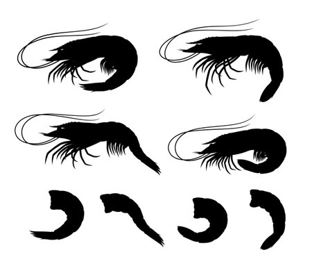 Vector shrimp silhouettes collection. Seafood iconsのイラスト素材