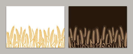 Vector horizontal wheat banners with copy space. Wheat, oat, rye or barley earsのイラスト素材