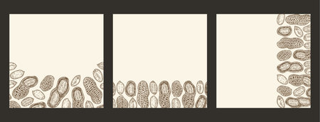 Vector peanut banners with copy space. Peanuts seeds and shells illustration