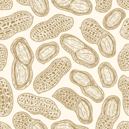 Vector peanuts hand-drawn pattern seamless pattern or background