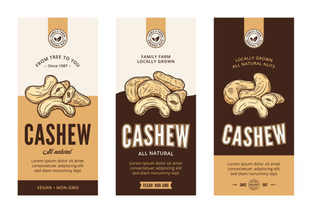 Vector cashew labels in modern style. Vector cashew nut illustrationsのイラスト素材