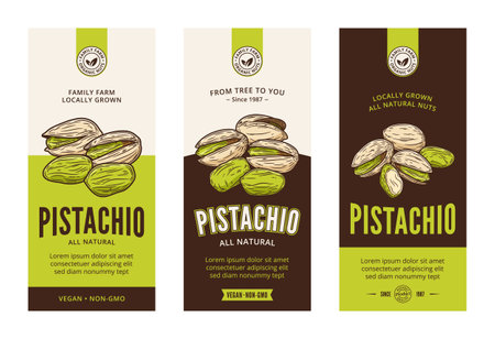 Vector pistachio labels in modern style. Vector pistachio nut illustrationsのイラスト素材