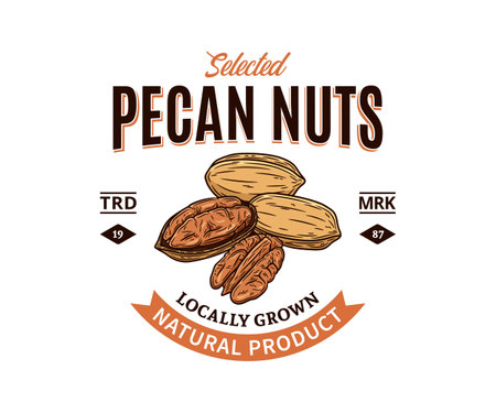 Vector pecan colorful logo. Nuts label design. Pecan nut kernels and shells illustrationのイラスト素材