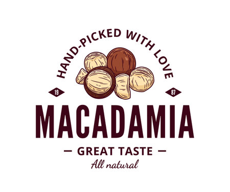 Vector macadamia nut colorful logo. Macadamia nut kernels and shells illustrationのイラスト素材