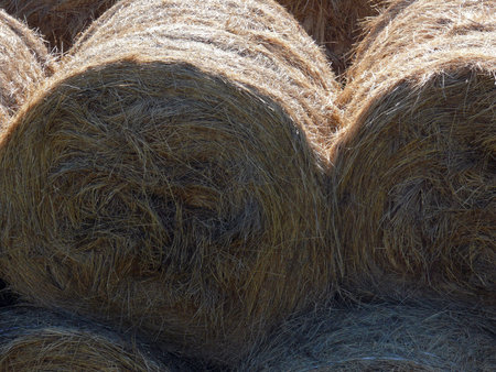 Closeup view of haystack rolls on top of each other