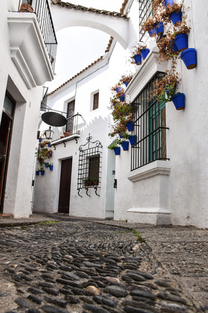 A low-viewpoint shot of a curved cobbled street in a small Mediterranean town in Europe, with blue flower pots contrasting nicely on the white walls of the houses, and an arch over the alley in the backgroundの写真素材