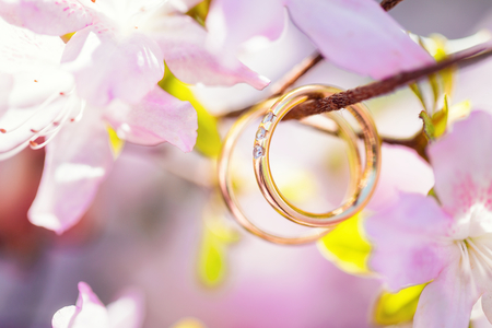 Wedding rings macroの写真素材