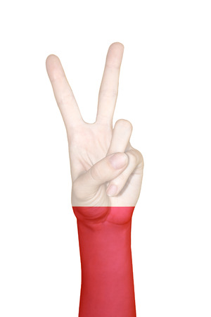 Hand covered in flag of Polandの写真素材