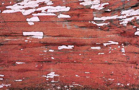 The Texture of an Old Plankの写真素材