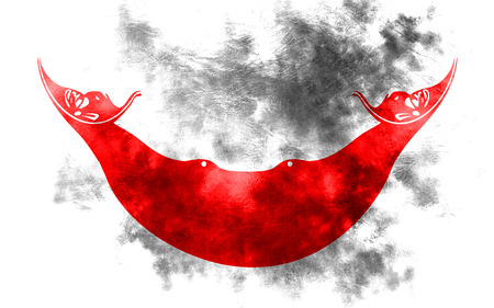 Rapa Nui grunge flag, Chile dependent territory flagの写真素材