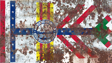 Tampa city smoke flag, Florida State, United States Of Americaの写真素材