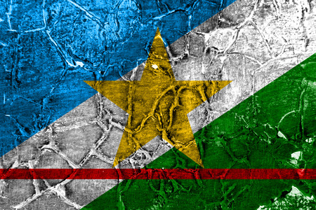 Roraima grunge flag, state of Brazilの写真素材