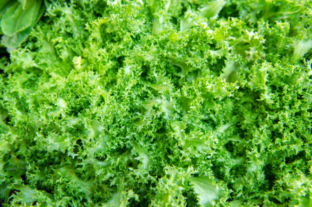 Selection of green and fresh vegetables from a farmer's market