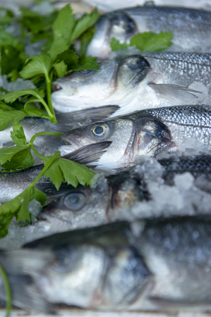 Fresh fish in the market , Sea fish pile top viewの写真素材