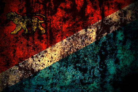 Russia, Russian, Primorsky Krai flag on grunge metal background texture with scratches and cracksの写真素材