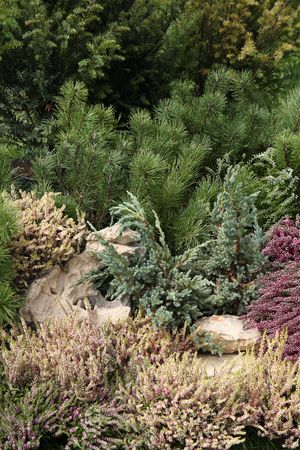 Mediterranean garden detailの写真素材