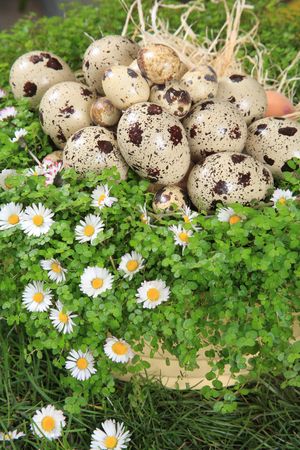 Decorations for Easterの写真素材
