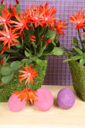 Decorations for Easterの写真素材