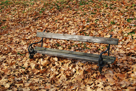 Wooden bench in autumn parkの写真素材