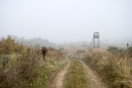 Wooden watchtower No 5 in the Special Nature Reserve Deliblato sands.Special Nature Reserve Deliblato sands, is a large sand area covering around 300 kmÃï¿½ÃÂ² of ground in Vojvodina province, Serbia. It is located in southern Banat. It is situated betwの写真素材