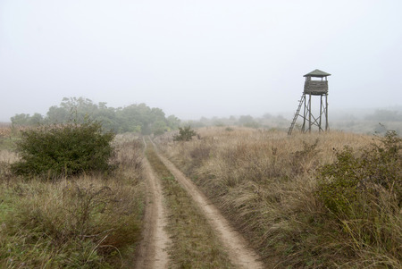 Wooden watchtower No 5 in the Special Nature Reserve Deliblato sands.Special Nature Reserve Deliblato sands, is a large sand area covering around 300 kmÃï¿½ÃÂ² of ground in Vojvodina province, Serbia. It is located in southern Banat. It is situated betwの写真素材