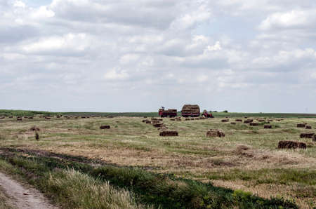 Collecting hay tied in bales and loading on a tractor-trailer.の写真素材