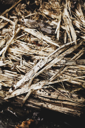 Beautiful wooden surfaces with chip - texture and background