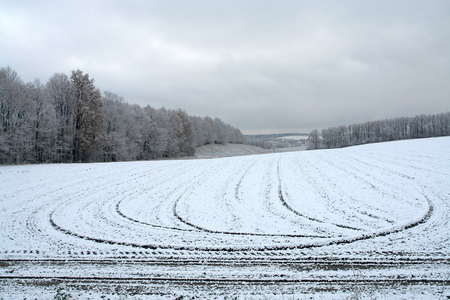 Plowed field and the forest on a cloudy day in early winter with the first snow falling                               の写真素材