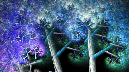 Magical forest.の写真素材