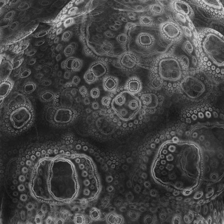 Labyrinths of dreams. Biological organic life. 3D surreal illustration. Sacred geometry. Mysterious psychedelic relaxation pattern. Fractal abstract texture. Digital artwork graphic astrology magicの写真素材