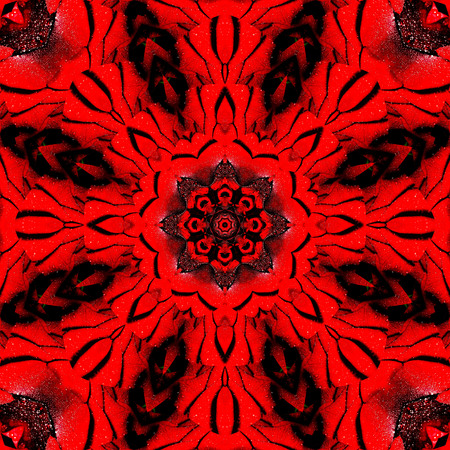 Mandala. 3D surreal illustration. Sacred geometry. Mysterious psychedelic relaxation pattern. Fractal abstract texture. Digital artwork graphic astrology magicの写真素材