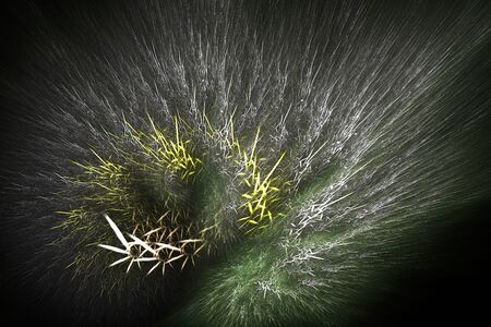 Abstract fantasy ornament pattern. Creative fractal design for greeting cards or t-shirtsの写真素材