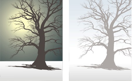 Tree In Winter Fogのイラスト素材
