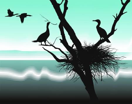 illustration cormorants nest in the dry treeのイラスト素材