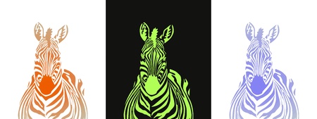 Zebra のイラスト素材
