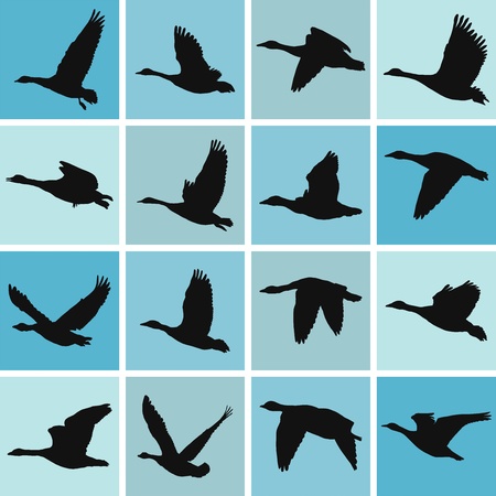 vector illustration wild geese pattern-textile printing and wallpapersのイラスト素材