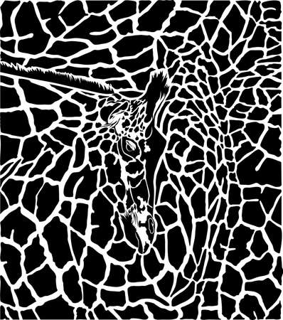 illustration pattern background giraffe skins and headsのイラスト素材