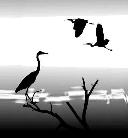 illustration silhouettes Herons on lake shoreのイラスト素材