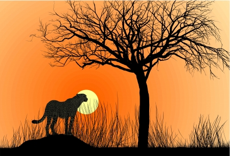 illustration cheetah on termite hill at sunsetのイラスト素材