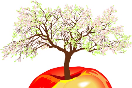 vector illustration blooming apple tree  in springのイラスト素材