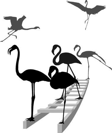 Grayscale illustration of how flamingos standing on a ladderのイラスト素材